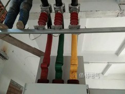 濱州海能化工10KV/4000A